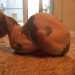 Drew, un esemplare dall'epidermide maculata